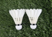 九游体育平台-日本羽毛球队完胜泰国羽毛球队，谌龙惊艳世界