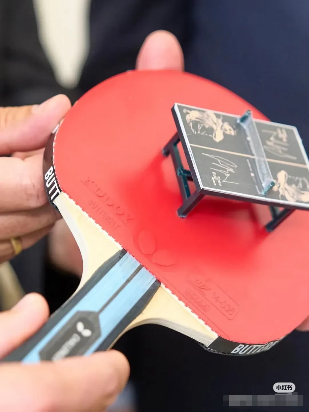 日本乒乓球队横扫韩国乒乓球队，波尔高光表现的简单介绍