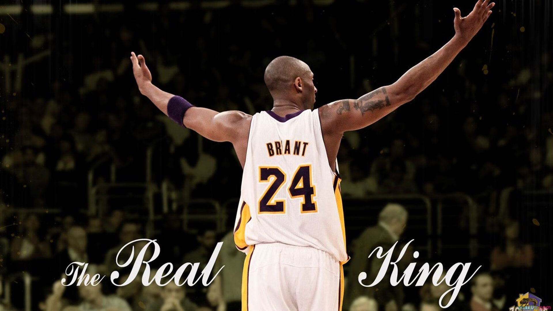 中投封神夜，德罗赞的古典艺术与芝加哥的救赎之战